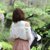 ☆Morning wisteria