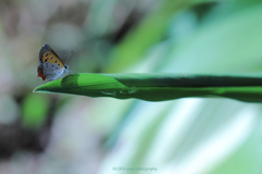 ☆ボクの夏の終わり♪