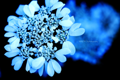 ☆Crystal heart