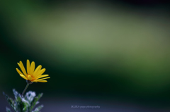 ☆Harmony