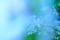 ☆Silent Morning