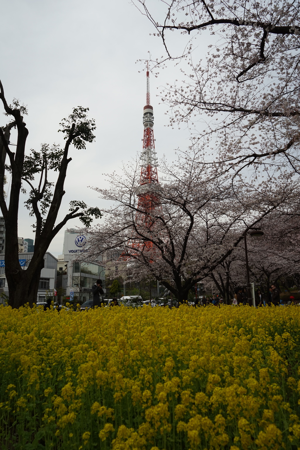 春満載のタワー