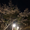 夜の新倉山浅間公園