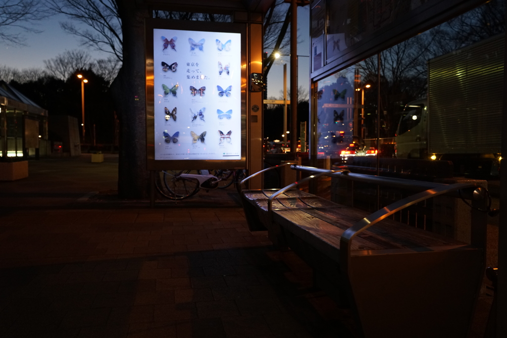 バス停で一休み