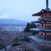 桜×富士山×五重塔