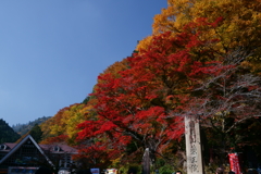 高尾山の紅葉2016