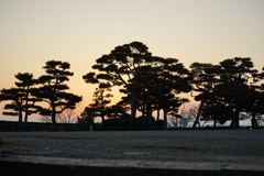 夕景の高知城内