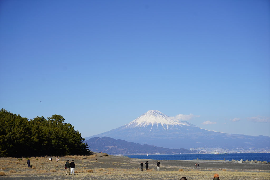 三保の松原からの富士山