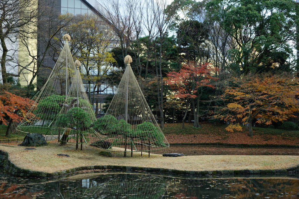 晩秋の冬支度