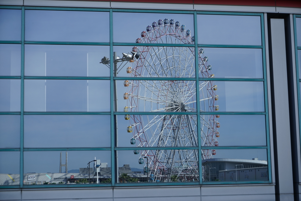 観覧車捕まえた。