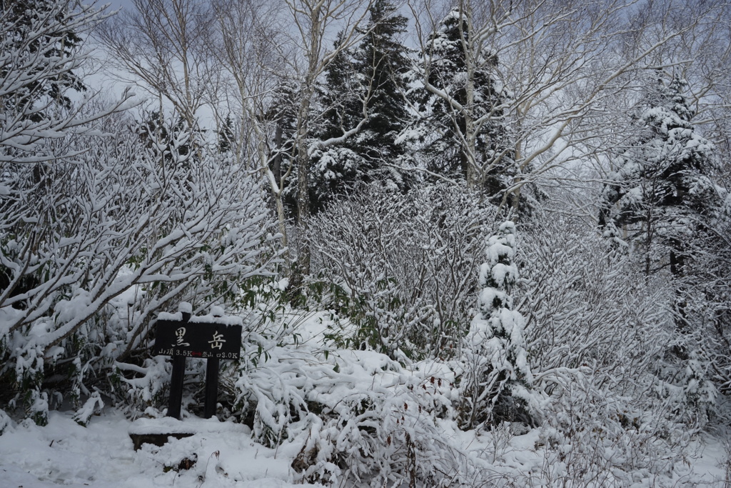 ロープウエイを降りると雪国だった