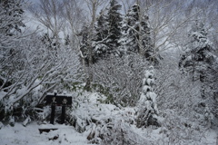 ロープウエイを降りると雪国だった