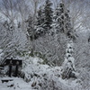 ロープウエイを降りると雪国だった