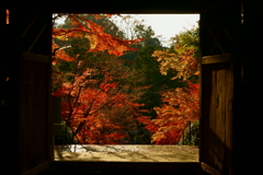 紅葉の円覚寺