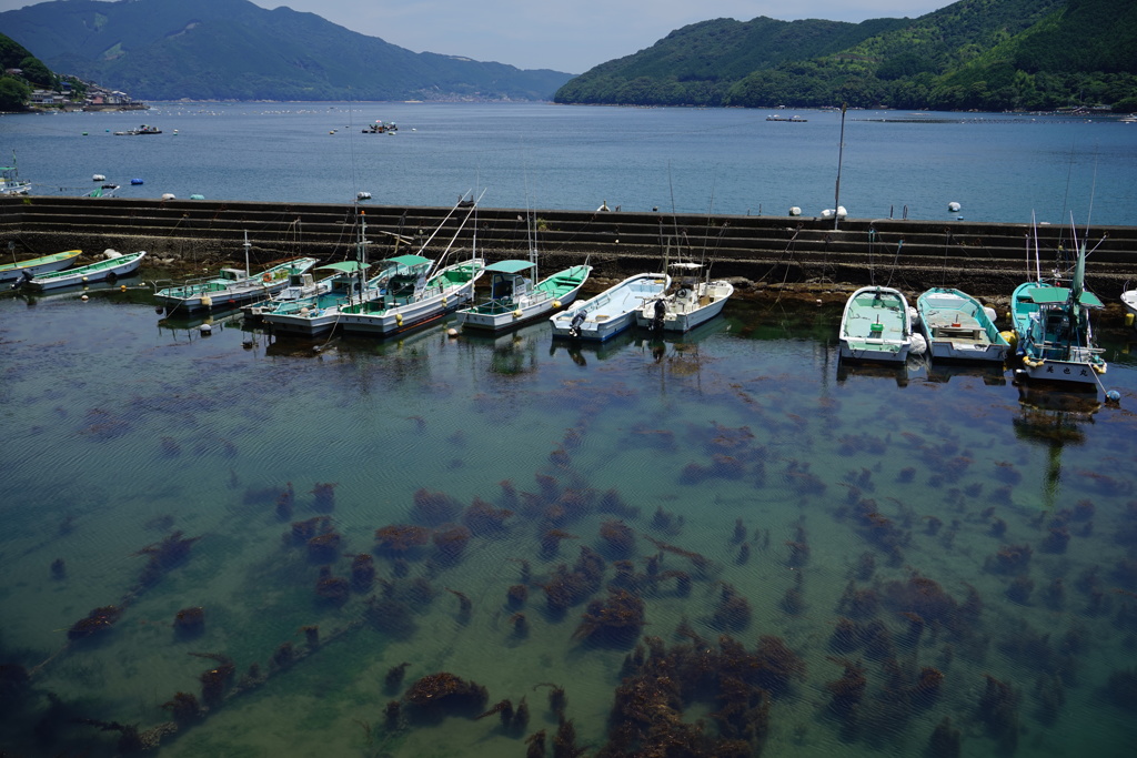 透き通る港