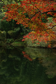 秋模様