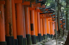 鳥居が沢山