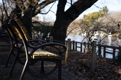 井の頭公園で一休み