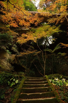 紅葉の御橋観音