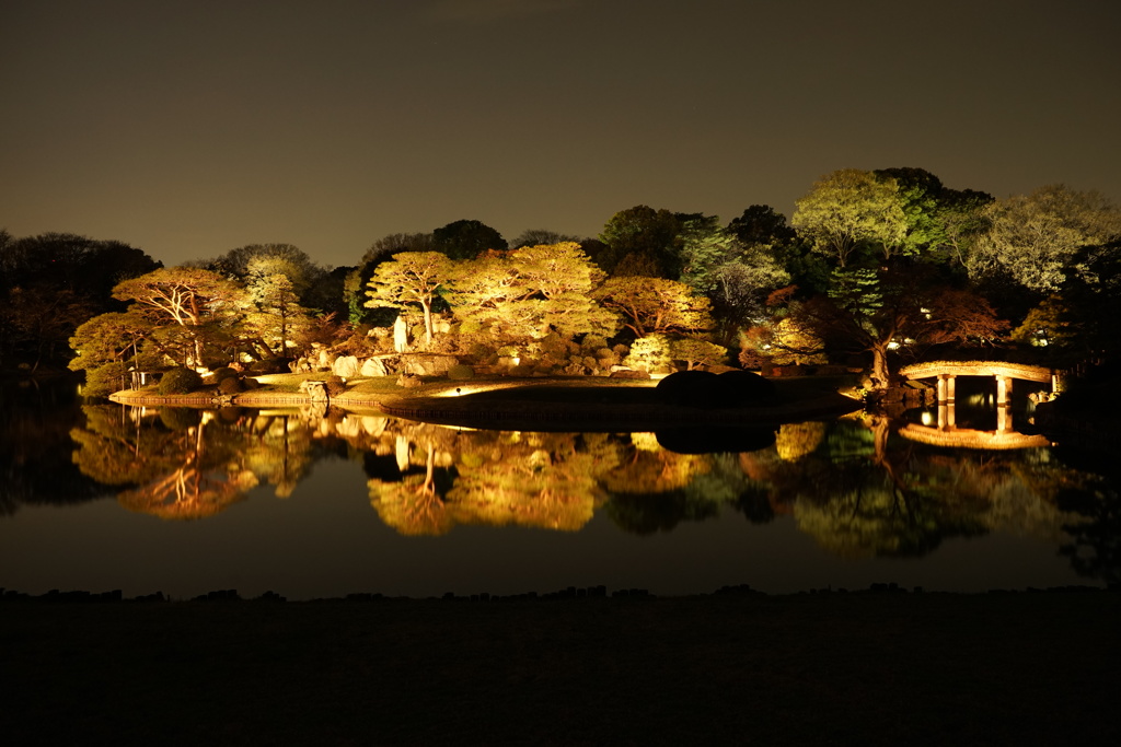 六義園の夜景