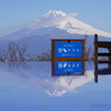 蒼いテラスからの富士山