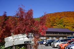 紅葉の酸ヶ湯温泉