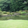 色んな緑色