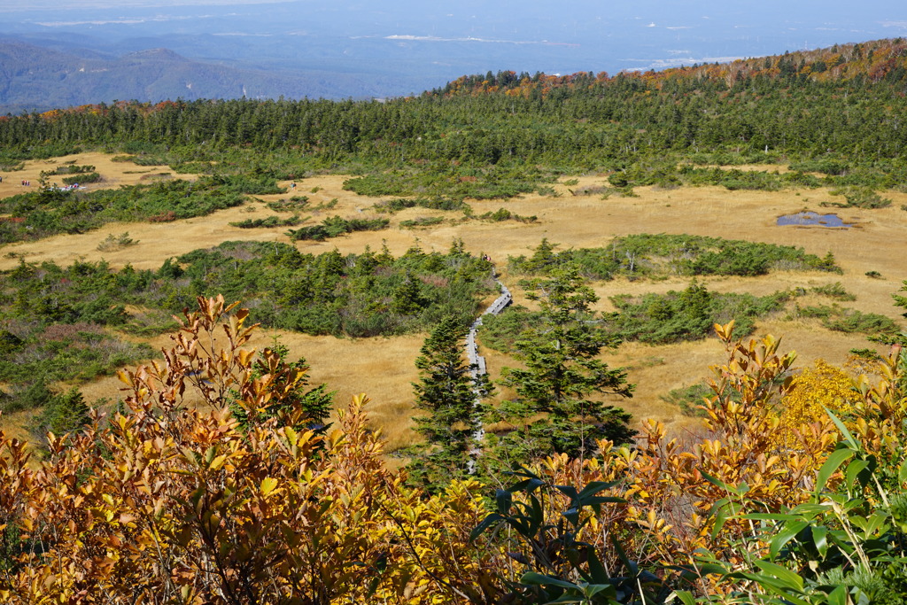 紅葉の下毛無岱