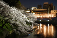 平成最後の夜桜