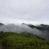 屋久島縦走４　雲上雲下