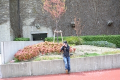 桜吹雪と友人