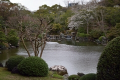 日本庭園