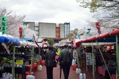 市場