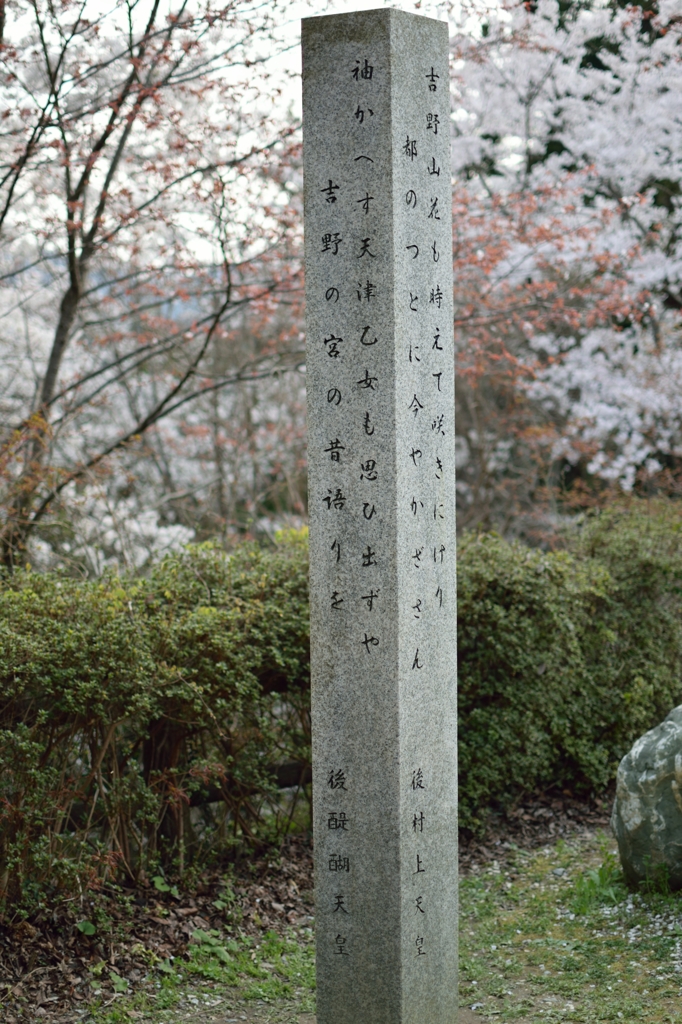 吉野で