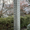 吉野で