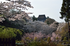 吉野