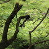 吸い込まれる。