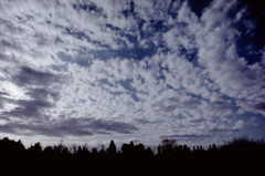 流れる雲を追いかけて