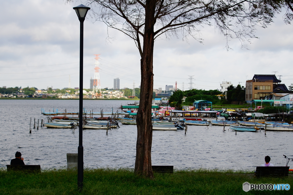 早朝の公園