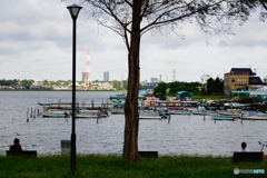 早朝の公園
