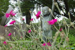花の妖精？