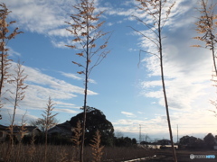 冬空１