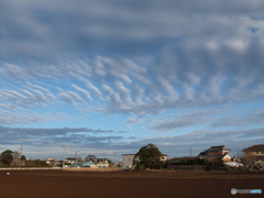 冬空２