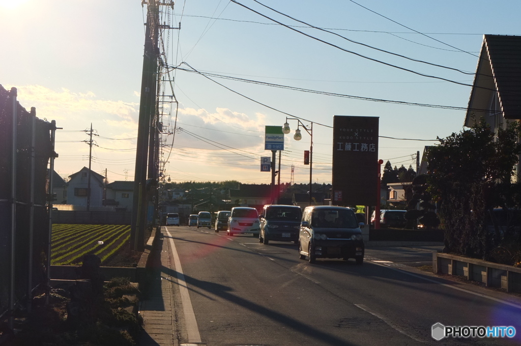 散歩道の風景３