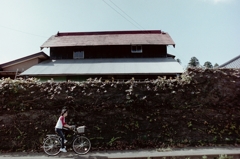 散歩道