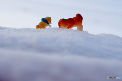 雪原のわんこ　～ここほれワンワン～
