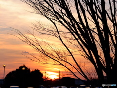 夕暮れ
