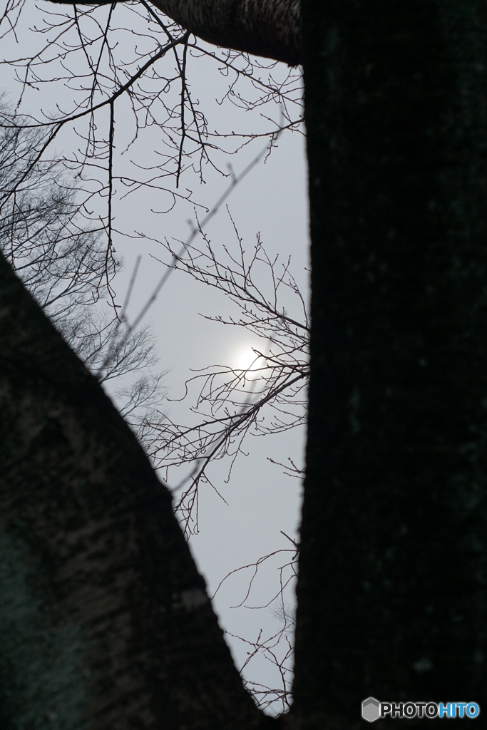 曇りの太陽