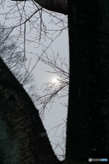 曇りの太陽