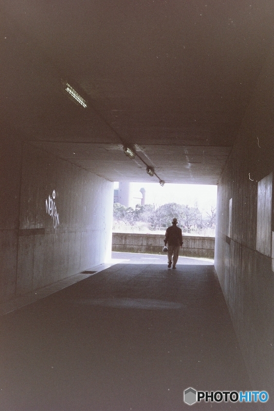 散歩道